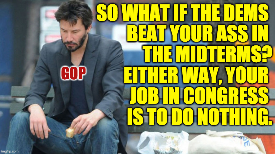 Sad GOP, but it's still the same job. | SO WHAT IF THE DEMS 
BEAT YOUR ASS IN 
THE MIDTERMS?
EITHER WAY, YOUR 
JOB IN CONGRESS 
IS TO DO NOTHING. GOP | image tagged in memes,gop losers,same job | made w/ Imgflip meme maker
