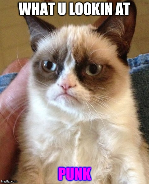 Grumpy Cat Meme | WHAT U LOOKIN AT PUNK | image tagged in memes,grumpy cat | made w/ Imgflip meme maker