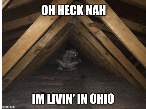 ohio be like | OH HECK NAH; IM LIVIN' IN OHIO | image tagged in ohio,memes,aliens,scary,help,funny | made w/ Imgflip meme maker