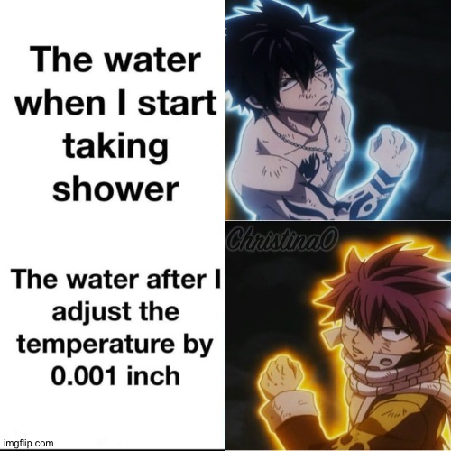 Fairy Tail Meme | image tagged in memes,fairy tail,fairy tail meme,natsu dragneel,gray fullbuster,anime | made w/ Imgflip meme maker