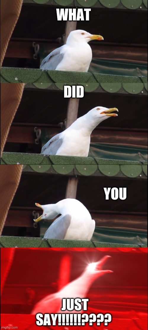 Inhaling Seagull Meme | WHAT; DID; YOU; JUST SAY!!!!!!???? | image tagged in memes,funny memes,funny,inhaling seagull,seagull | made w/ Imgflip meme maker