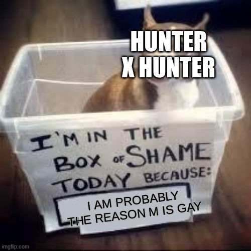 Hunter x Hunter is an anime I like that has A LOT of gay people. | HUNTER X HUNTER; I AM PROBABLY THE REASON M IS GAY | image tagged in box of shame dog | made w/ Imgflip meme maker