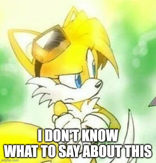 I DON'T KNOW WHAT TO SAY ABOUT THIS | image tagged in more tailsko | made w/ Imgflip meme maker