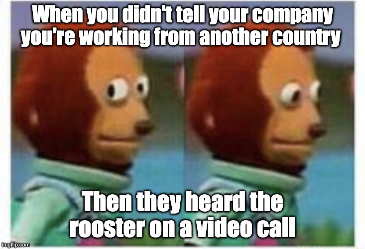 side eye teddy | When you didn't tell your company you're working from another country; Then they heard the rooster on a video call | image tagged in side eye teddy | made w/ Imgflip meme maker