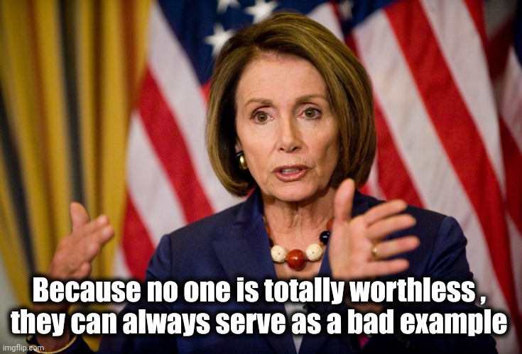 Nancy Pelosi "We need to pass the ACA to find out what's in it" | Because no one is totally worthless , 
they can always serve as a bad example | image tagged in nancy pelosi we need to pass the aca to find out what's in it | made w/ Imgflip meme maker