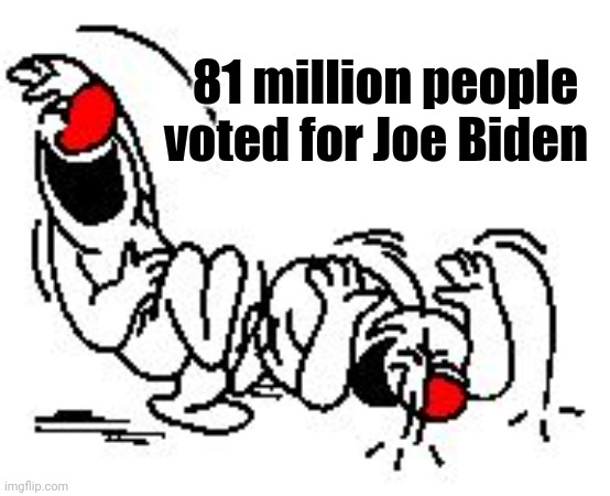 LOL Hysterically | 81 million people  
voted for Joe Biden | image tagged in lol hysterically | made w/ Imgflip meme maker