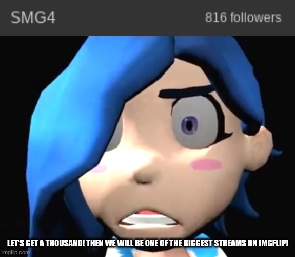 CMON GUYS LETS DO IT! | LET'S GET A THOUSAND! THEN WE WILL BE ONE OF THE BIGGEST STREAMS ON IMGFLIP! | image tagged in tari wtf,smg4,1000 | made w/ Imgflip meme maker