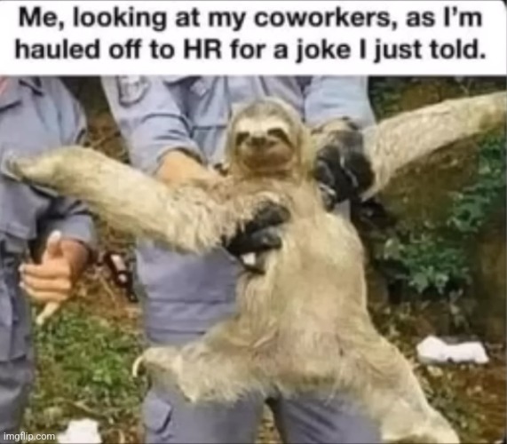 image tagged in funny memes | made w/ Imgflip meme maker