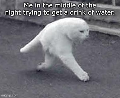 Walking White Cat | Me in the middle of the night trying to get a drink of water. | image tagged in walking white cat | made w/ Imgflip meme maker