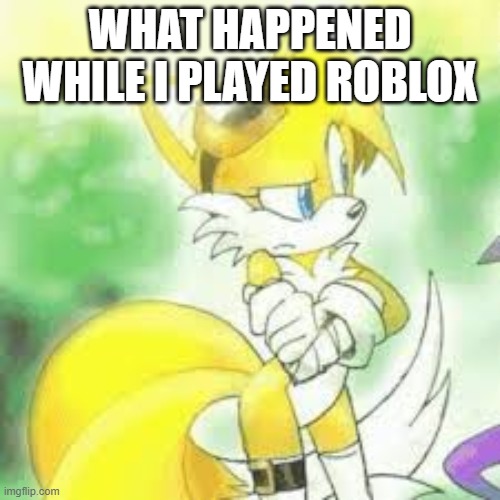 WHAT HAPPENED WHILE I PLAYED ROBLOX | image tagged in tailsko | made w/ Imgflip meme maker