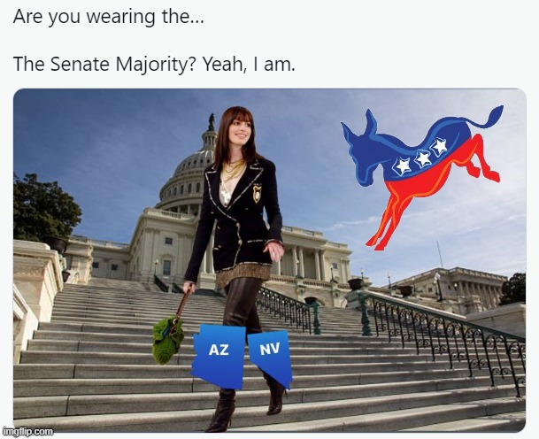 "Are you wearing the..." | image tagged in are you wearing the senate majority,senate,election,midterms,2022,democratic party | made w/ Imgflip meme maker