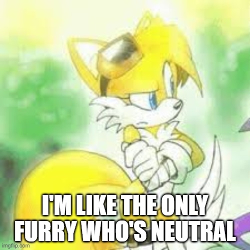 I'M LIKE THE ONLY FURRY WHO'S NEUTRAL | image tagged in tailsko | made w/ Imgflip meme maker