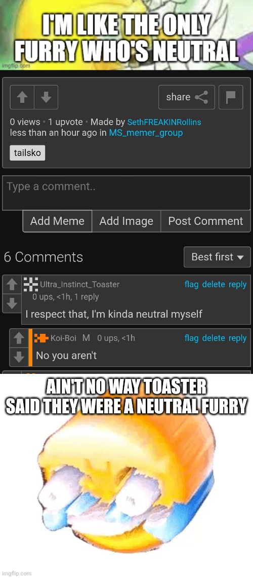 AIN'T NO WAY TOASTER SAID THEY WERE A NEUTRAL FURRY | image tagged in painful laughing | made w/ Imgflip meme maker