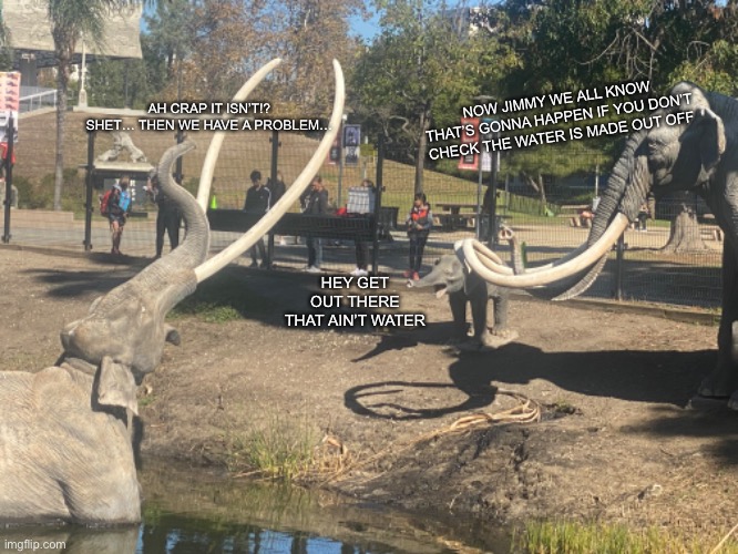 Stupid Columbian mammoth takes a dive into tar for no reason | AH CRAP IT ISN’T!? SHET… THEN WE HAVE A PROBLEM…; NOW JIMMY WE ALL KNOW THAT’S GONNA HAPPEN IF YOU DON’T CHECK THE WATER IS MADE OUT OFF; HEY GET OUT THERE THAT AIN’T WATER | image tagged in columbian mammoth,la brea tar pits,prehistoric | made w/ Imgflip meme maker