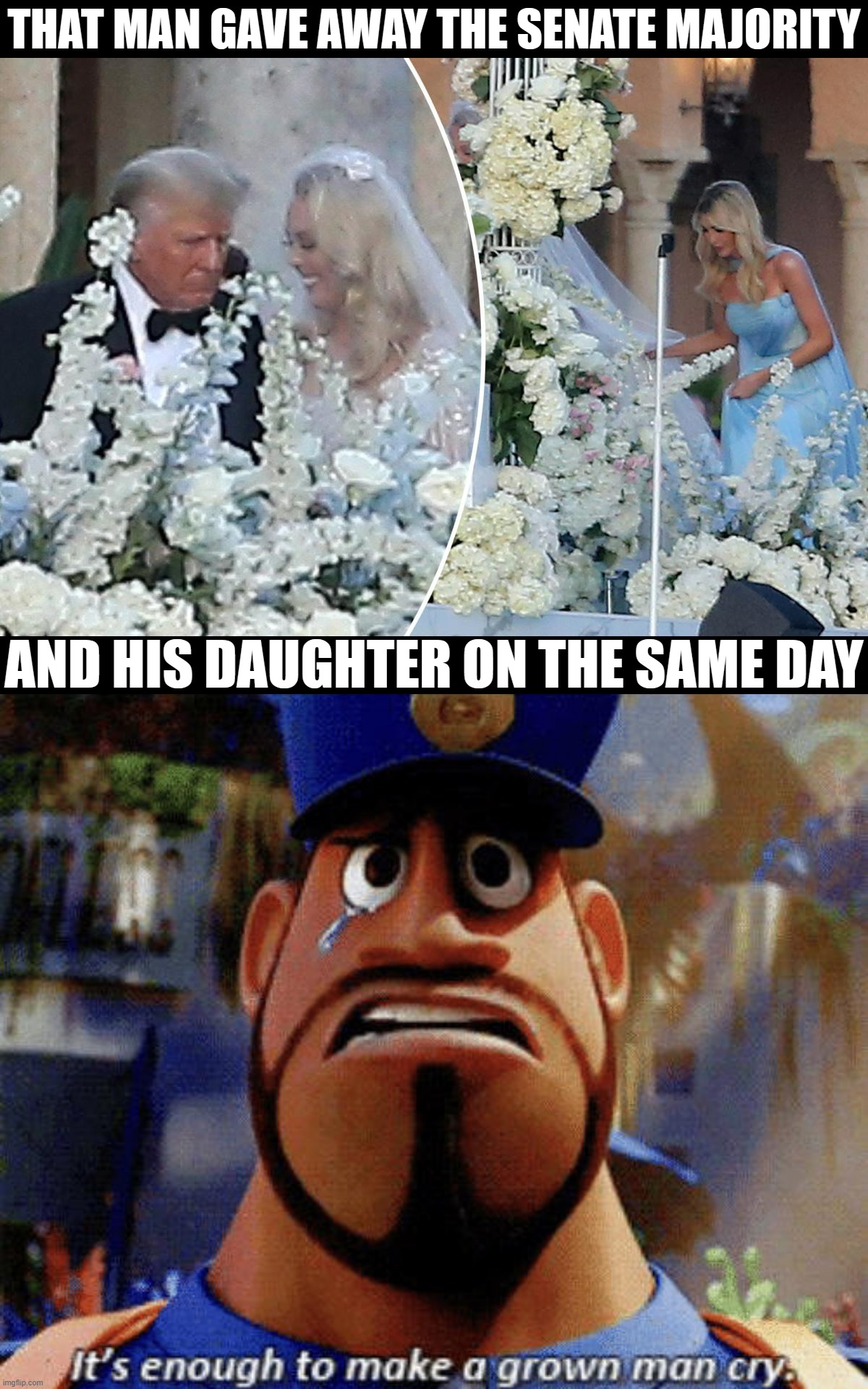 Congratulations, Tiffany Trump! | THAT MAN GAVE AWAY THE SENATE MAJORITY; AND HIS DAUGHTER ON THE SAME DAY | image tagged in tiffany trump wedding,it's enough to make a grown man cry | made w/ Imgflip meme maker