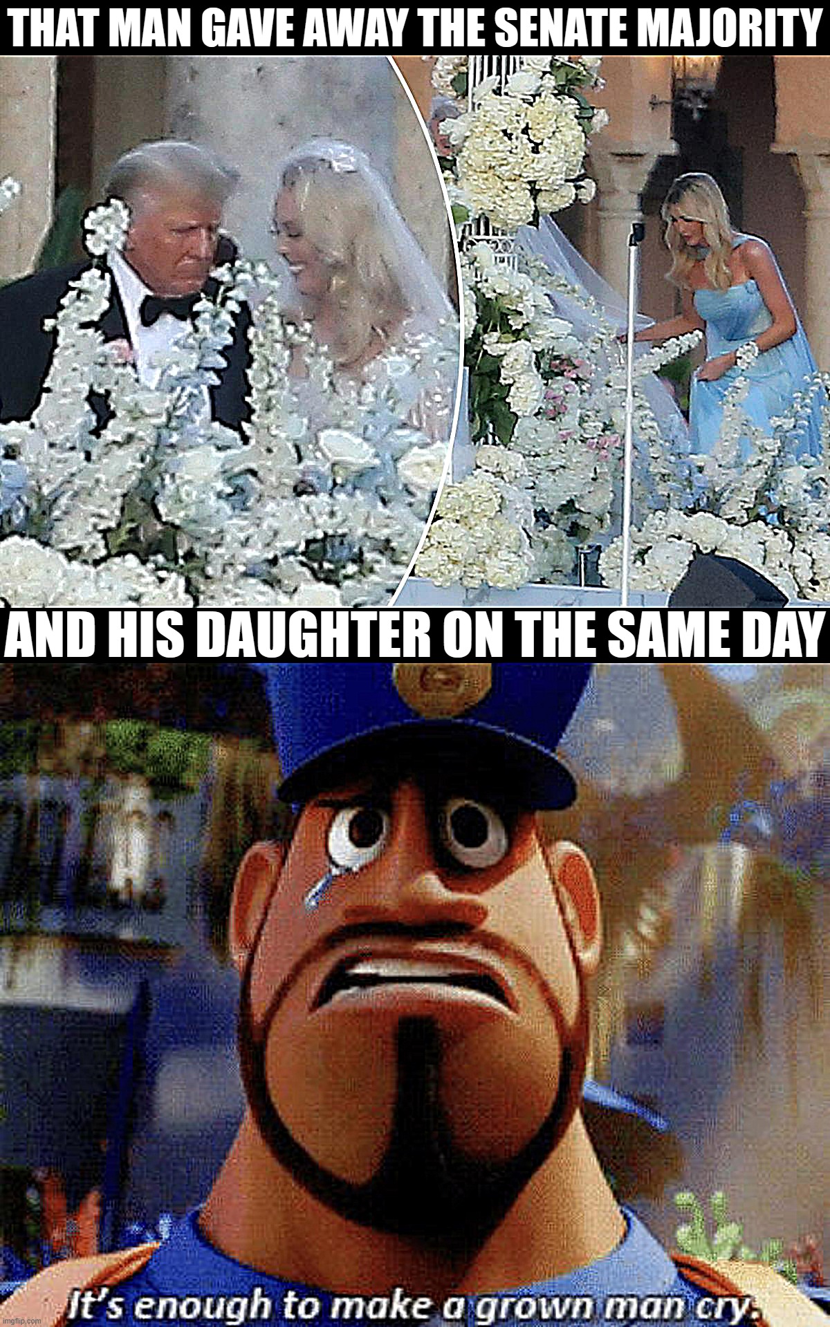 Congratulations, Tiffany Trump! | THAT MAN GAVE AWAY THE SENATE MAJORITY; AND HIS DAUGHTER ON THE SAME DAY | image tagged in tiffany trump wedding,it's enough to make a grown man cry | made w/ Imgflip meme maker