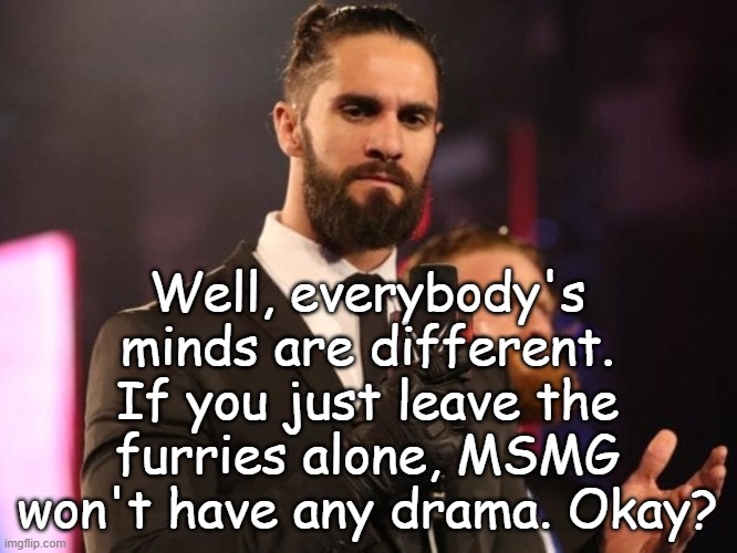 Seth Rollins | Well, everybody's minds are different. If you just leave the furries alone, MSMG won't have any drama. Okay? | image tagged in seth rollins | made w/ Imgflip meme maker