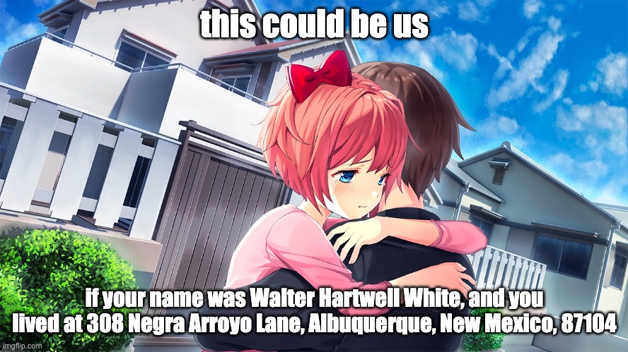 this could be us; if your name was Walter Hartwell White, and you lived at 308 Negra Arroyo Lane, Albuquerque, New Mexico, 87104 | made w/ Imgflip meme maker