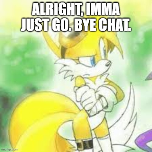 ALRIGHT, IMMA JUST GO. BYE CHAT. | image tagged in tailsko | made w/ Imgflip meme maker