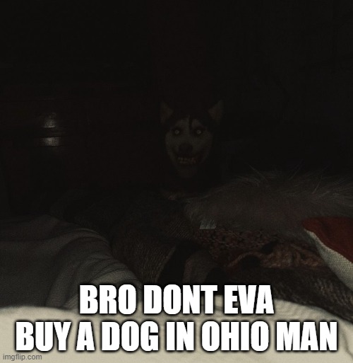 BRO DONT EVA BUY A DOG IN OHIO MAN | made w/ Imgflip meme maker