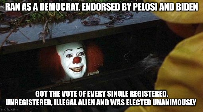 democrat | RAN AS A DEMOCRAT. ENDORSED BY PELOSI AND BIDEN; GOT THE VOTE OF EVERY SINGLE REGISTERED, UNREGISTERED, ILLEGAL ALIEN AND WAS ELECTED UNANIMOUSLY | image tagged in pennywise | made w/ Imgflip meme maker
