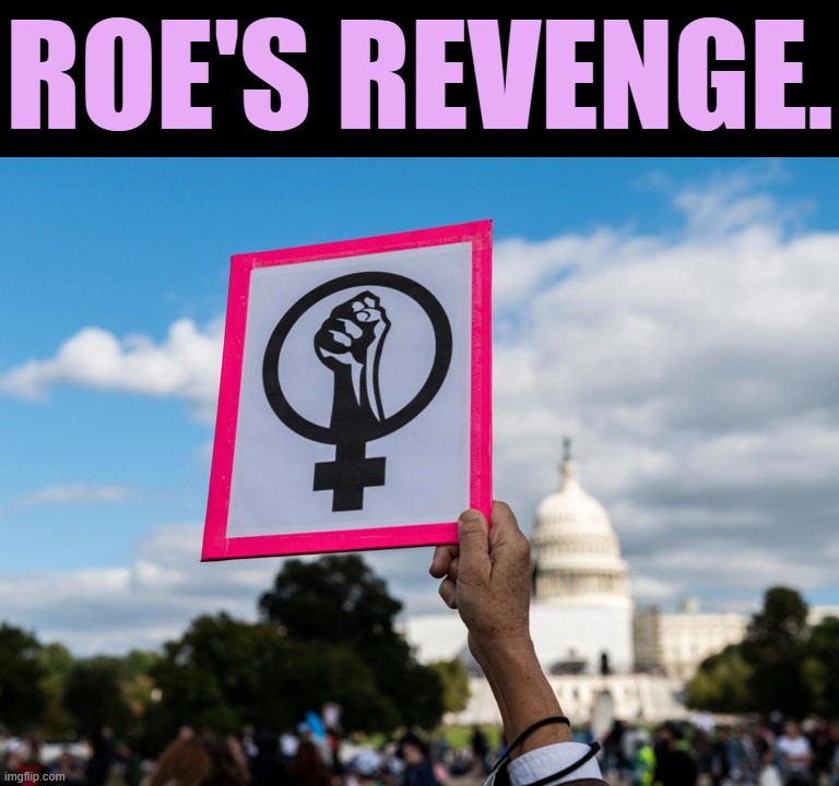 In scoring a pyrrhic "victory" by overturning Roe, Republicans have dug themselves a generational hole. | ROE'S REVENGE. | image tagged in pro-choice protestor | made w/ Imgflip meme maker