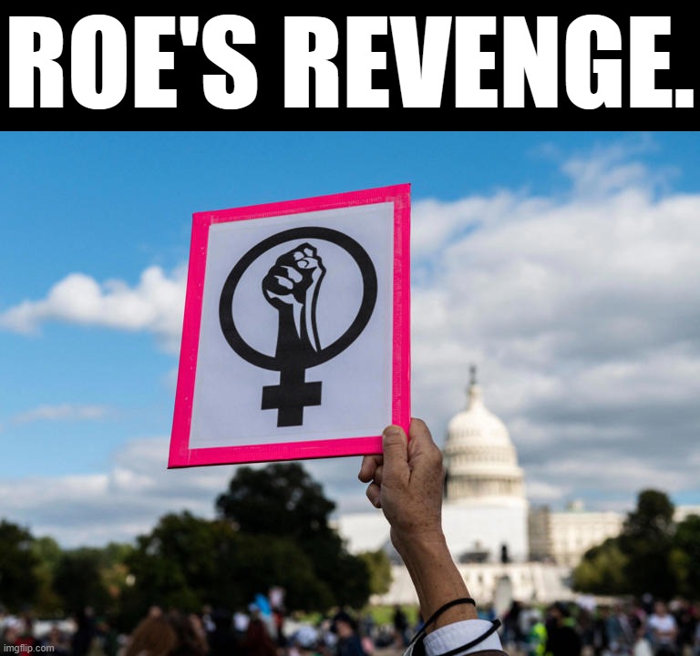 Pro-Choice protestor | ROE'S REVENGE. | image tagged in pro-choice protestor | made w/ Imgflip meme maker