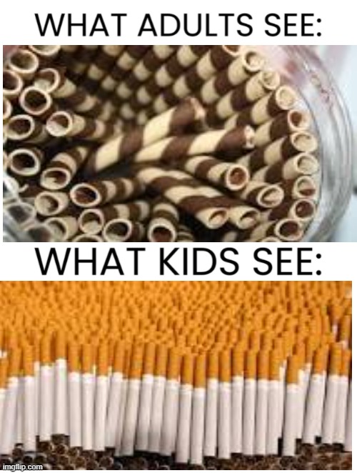 a valuable lesson learned :smoke weed every day | image tagged in what adults see what kids see | made w/ Imgflip meme maker