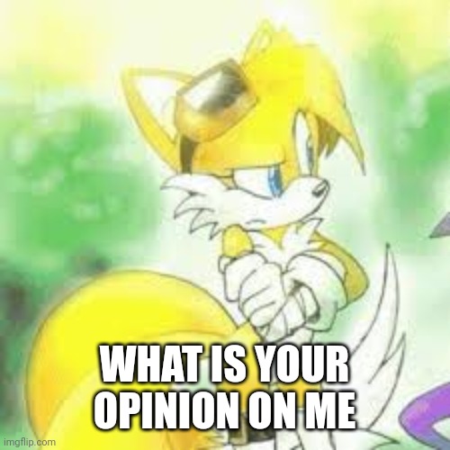 WHAT IS YOUR OPINION ON ME | image tagged in tailsko | made w/ Imgflip meme maker