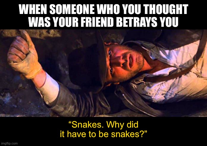 Indiana Jones Why'd It Have to be Snakes | WHEN SOMEONE WHO YOU THOUGHT WAS YOUR FRIEND BETRAYS YOU; “Snakes. Why did it have to be snakes?” | image tagged in indiana jones why'd it have to be snakes | made w/ Imgflip meme maker