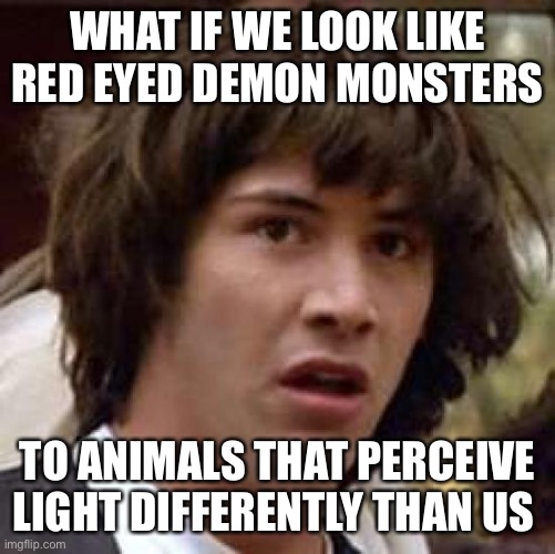 What if | WHAT IF WE LOOK LIKE RED EYED DEMON MONSTERS; TO ANIMALS THAT PERCEIVE LIGHT DIFFERENTLY THAN US | image tagged in what if,memes | made w/ Imgflip meme maker