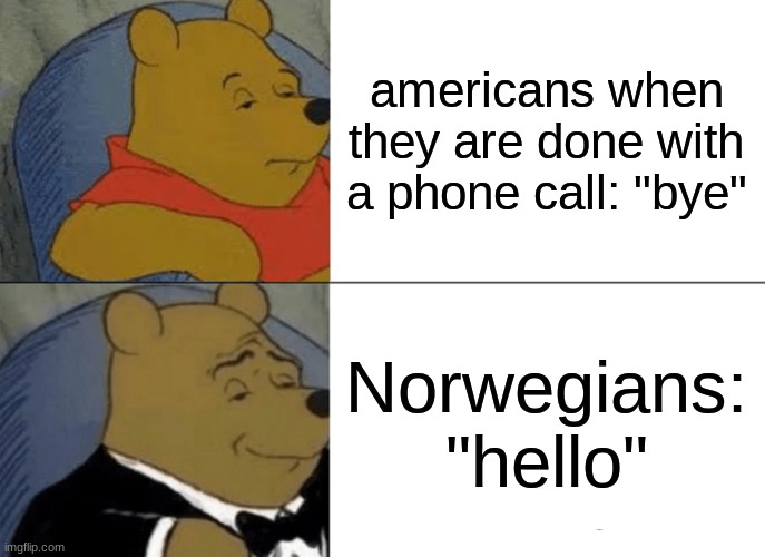 Im back with memes! | americans when they are done with a phone call: "bye"; Norwegians: "hello" | image tagged in memes,tuxedo winnie the pooh | made w/ Imgflip meme maker