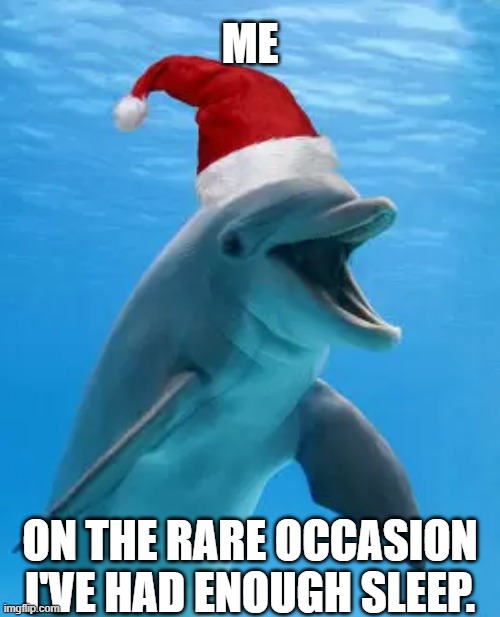 When sleep apnea doesn't take it's toll | ME; ON THE RARE OCCASION I'VE HAD ENOUGH SLEEP. | image tagged in dolphin,santa,happy,sleeping | made w/ Imgflip meme maker