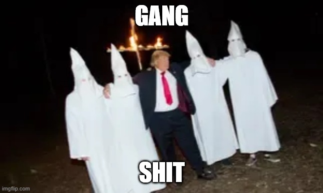 this be some gang shit | GANG; SHIT | image tagged in donald trump,kkk | made w/ Imgflip meme maker