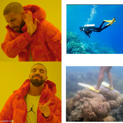 Chinese people snorkeling | image tagged in memes,drake hotline bling,diving,snorkel,coral | made w/ Imgflip meme maker