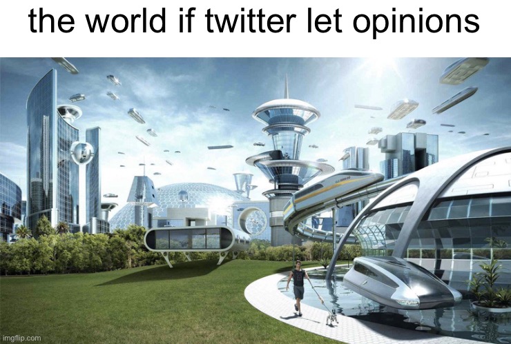 the future is yours twitter | the world if twitter let opinions | image tagged in the future world if | made w/ Imgflip meme maker