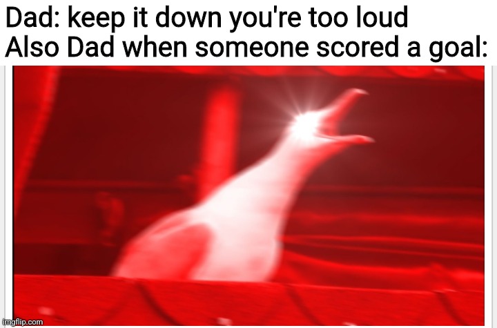 If there is a hole, there is a goal づ(っ'-')╮=͟͟͞͞⚽? | Dad: keep it down you're too loud
Also Dad when someone scored a goal: | image tagged in screaming bird | made w/ Imgflip meme maker