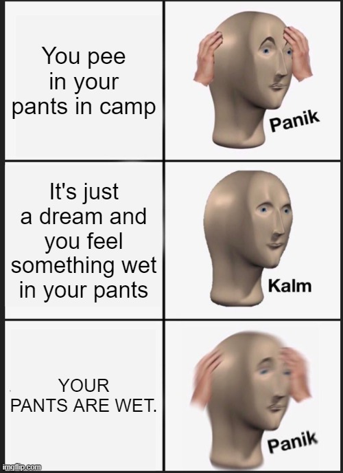 Panik Kalm Panik | You pee in your pants in camp; It's just a dream and you feel something wet in your pants; YOUR PANTS ARE WET. | image tagged in memes,panik kalm panik | made w/ Imgflip meme maker