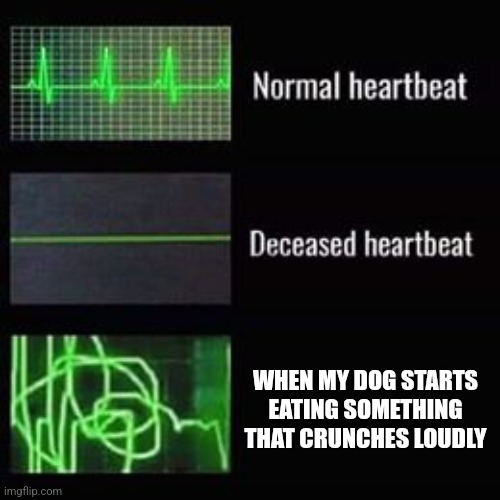 and then he runs away from you | WHEN MY DOG STARTS EATING SOMETHING THAT CRUNCHES LOUDLY | image tagged in heartbeat rate,memes | made w/ Imgflip meme maker