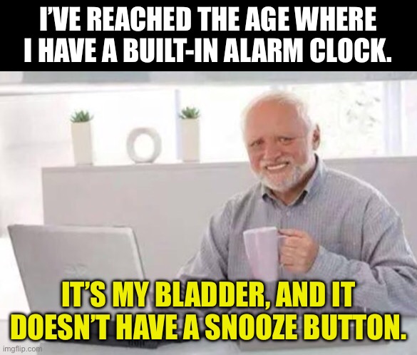 Time to get up | I’VE REACHED THE AGE WHERE I HAVE A BUILT-IN ALARM CLOCK. IT’S MY BLADDER, AND IT DOESN’T HAVE A SNOOZE BUTTON. | image tagged in harold | made w/ Imgflip meme maker