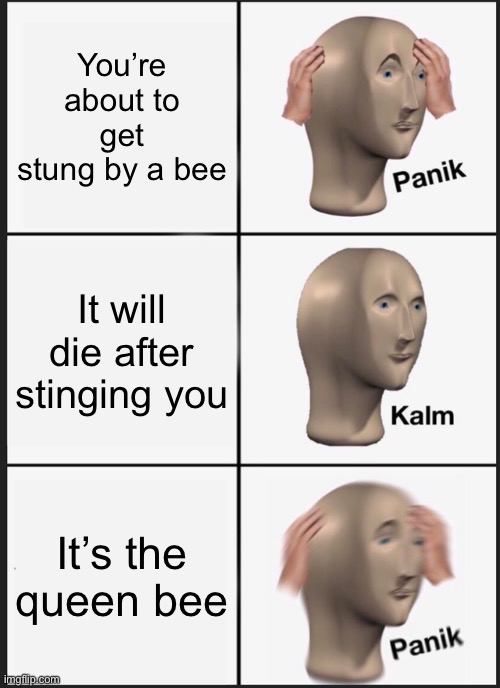 Panik Kalm Panik Meme | You’re about to get stung by a bee; It will die after stinging you; It’s the queen bee | image tagged in memes,panik kalm panik | made w/ Imgflip meme maker
