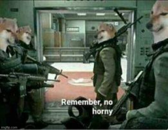 its almost halfway through November | image tagged in horny dog remember no horny | made w/ Imgflip meme maker