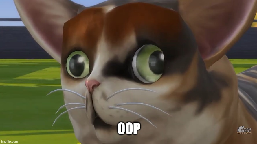 Spleens the cat | OOP | image tagged in spleens the cat | made w/ Imgflip meme maker