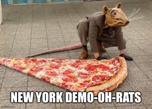 Democrats comeback home | NEW YORK DEMO-OH-RATS | image tagged in memes,funny | made w/ Imgflip meme maker