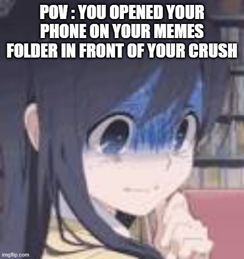 I hope it happened to nobody |  POV : YOU OPENED YOUR PHONE ON YOUR MEMES FOLDER IN FRONT OF YOUR CRUSH | image tagged in oops,well f ck,phone,gone wrong,funny,memes | made w/ Imgflip meme maker