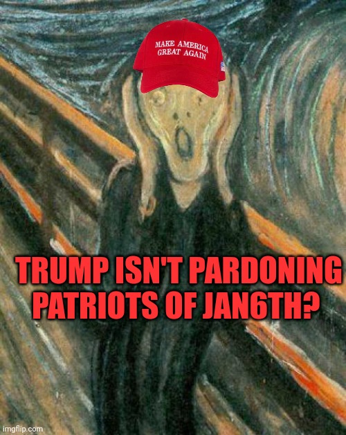 The Scream | TRUMP ISN'T PARDONING PATRIOTS OF JAN6TH? | image tagged in the scream | made w/ Imgflip meme maker