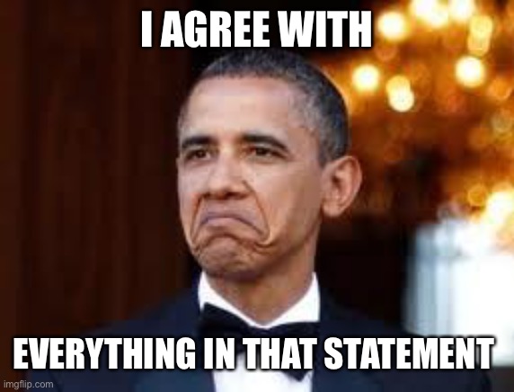 Obama Approval Face | I AGREE WITH EVERYTHING IN THAT STATEMENT | image tagged in obama approval face | made w/ Imgflip meme maker