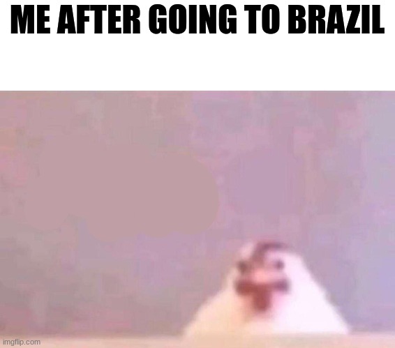 Pollo ? | ME AFTER GOING TO BRAZIL | image tagged in pollo | made w/ Imgflip meme maker