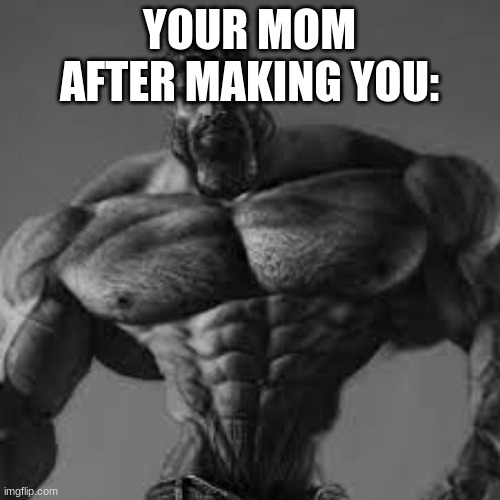 ultra gigachad | YOUR MOM AFTER MAKING YOU: | image tagged in ultra gigachad | made w/ Imgflip meme maker