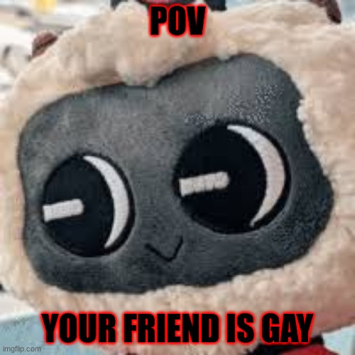 POV; YOUR FRIEND IS GAY | image tagged in why are you gay | made w/ Imgflip meme maker
